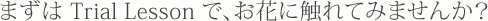 まずはTrial Lessonで、お花に触れてみませんか？